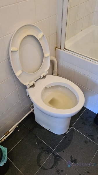  verstopping toilet Voorthuizen